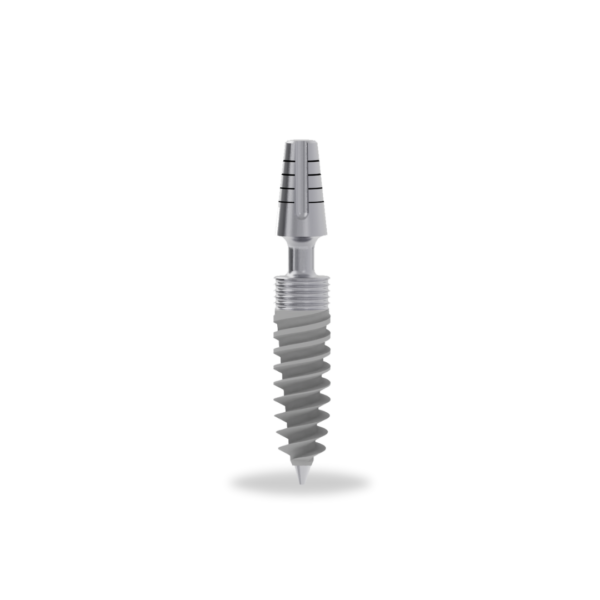 KORTICALE SPIRAL (SP)