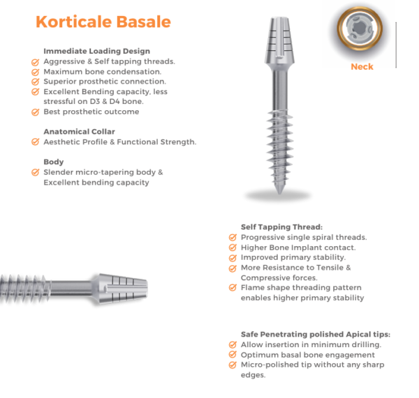 KORTICALE BASALE - Image 2